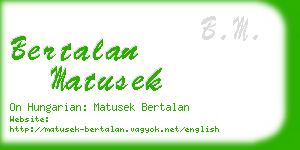 bertalan matusek business card